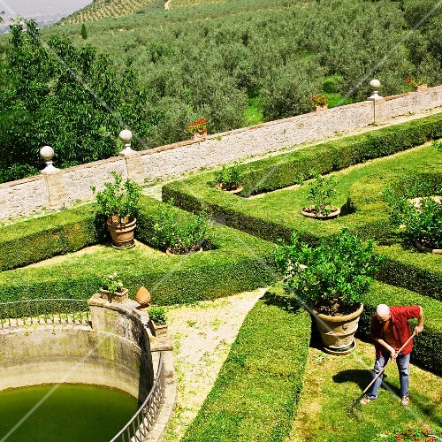 Geburtstagswünsche Mann Garten