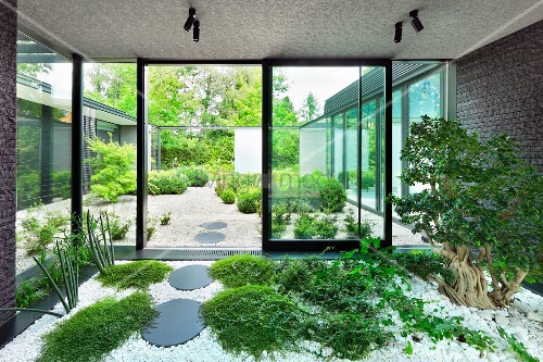Vorraum mit indoor garten, bodendecker und baum zwischen ...