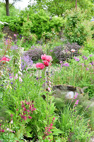 Immagine N°: 14321503