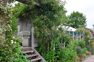 Immagine N°: 14321505