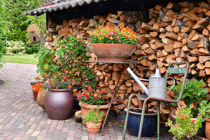 Immagine N°: 14321507