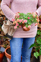 Immagine N°: 14321513