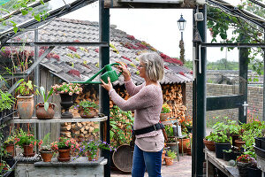 Immagine N°: 14321517