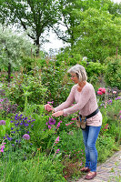 Immagine N°: 14321519