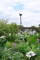 Immagine N°: 14321523