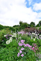 Immagine N°: 14321525