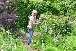 Immagine N°: 14321527