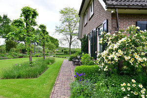 Immagine N°: 14321537