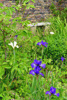 Immagine N°: 14321539