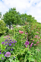 Immagine N°: 14321551