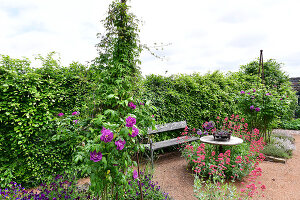 Immagine N°: 14321553