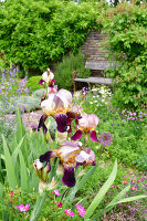 Immagine N°: 14321557