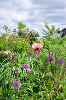 Immagine N°: 14321559