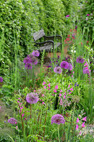 Immagine N°: 14321563