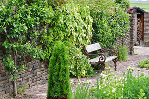 Immagine N°: 14321565