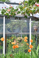 Immagine N°: 14321567