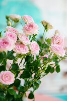 Image no.: 14362511