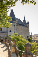 Immagine N°: 14404511