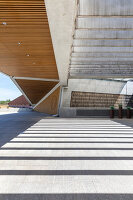 Immagine N°: 14404527