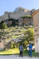 Immagine N°: 14404547