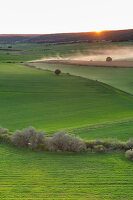 Immagine N°: 14404553