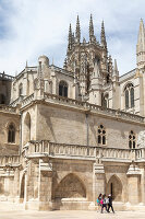 Immagine N°: 14404567