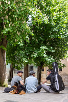 Immagine N°: 14404573