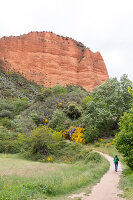 Immagine N°: 14404587