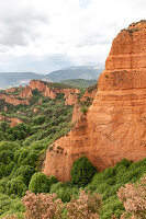 Immagine N°: 14404589