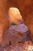 Immagine N°: 14404597