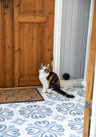 Zdjęcie numer: 14414061