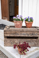 Zdjęcie numer: 14414085