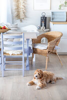 Immagine N°: 14414721