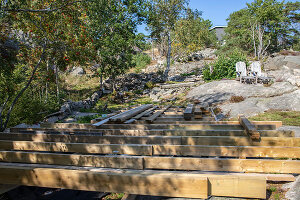 Immagine N°: 14414745