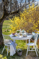 Zdjęcie numer: 14414797