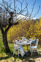 Zdjęcie numer: 14414799