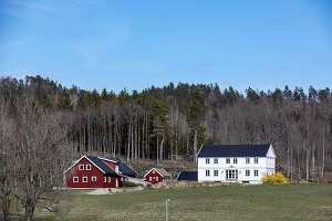 Zdjęcie numer: 14414843