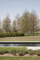 Zdjęcie numer: 14416577