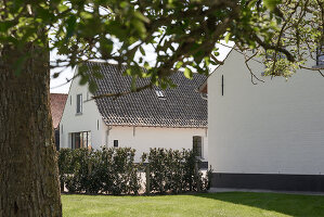 Zdjęcie numer: 14416631