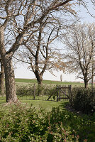 Zdjęcie numer: 14416633