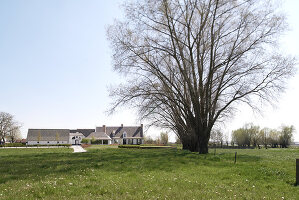 Zdjęcie numer: 14416637