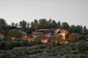 Immagine N°: 14416753