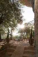 Immagine N°: 14416755