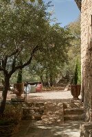 Immagine N°: 14416757