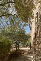 Immagine N°: 14416759