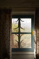 Immagine N°: 14416767