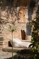 Immagine N°: 14416783