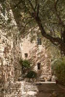 Immagine N°: 14416799