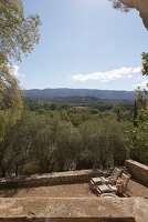 Immagine N°: 14416817