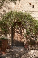 Immagine N°: 14416821